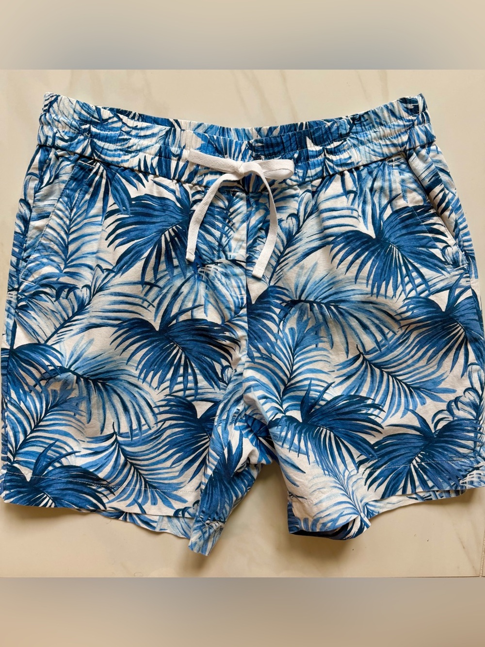 Talbots Blue and White Tropical Palm Print Women's Shorts